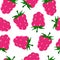 Pattern of pink raspberry on white background. Vector design. ummer background. Healthy leaf collection