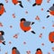 Pattern Red Xmas bird. Bullfinch illustration.