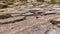 Pattern of rocks formation in Utah Wasatch mountains