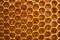 Pattern of a section of wax honeycomb from a bee hive filled with golden honey. Background texture