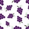 Pattern Silhouette Grapes