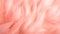 Pattern of soft feathers. Texture background in Peach Fuzz color. Color of the year 2024. Banner