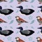 Pattern with sparrow, loon bird