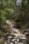 Pattern in the stone walking path, Mount Tinbeerwah