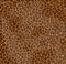 pattern texture of fur with yellow leopard fur with dark spots