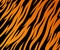 Pattern texture tiger fur orange stripe black jungle safari