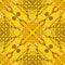 Pattern texture of yellow and red sikkim silk butterfly wing G