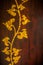 Pattern thai carve tree gold on old wood texture