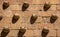 Pattern of three horizontal rows of granite shell moldings on the wall with long shadows cast on the granite wall by the evening