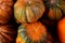 Pattern vegetable orange yellow pumpkin harvest farmer background natural