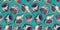 Pattern wallpaper seashell mollusk ocean wild life