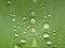 Pattern of water drops on green leaf.  Macro details. Closeup.