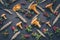 Pattern wild forest mushrooms, wild berries and wheat on a dark wooden background. Top view