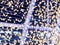 Pattern of yellow starlike bokeh lining along the purple wires o