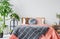 Patterned blanket on red bed with cushions in grey bedroom interior with plants