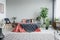 Patterned blanket on red bed in grey bedroom interior with wooden armchair and plants