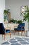 Patterned carpet next to blue armchairs in grey apartment interior with plants on cabinet.