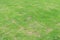 Patterned field of green grass sports field