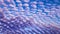 Patterned fluffy purple or ultra violet clouds in blue sky