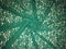 Patterned green lace fabric