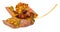Patterned maple leaf & acorns