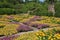 Patterned Quilt Garden in Asheville North Carolina