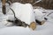 Patterns in deep snow drifts in woods of Rangeley, Maine