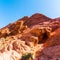 Patterns of Erosion Formed in The Aztec Sandstone of the Calico Hills