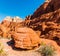 Patterns of Erosion Formed in The Aztec Sandstone of the Calico Hills