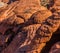 Patterns of Erosion Formed in The Aztec Sandstone of the Calico Hills