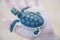 Patterns: Flatback Sea Turtle Hatchling