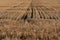 Patterns in a freshly cut wheat field harvest leaving sharp straw stems in an Australian outback farm.