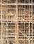 Patterns rusty scaffold background texture