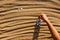 Patterns on sand with shells