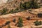 Patterns in the sandstone strata