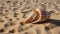 Patterns and textures of a seashell on a sandy beach
