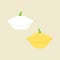 Patty pan squash vector illustration icons