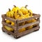 Pattypan squashes in wooden crate isolated, yellow shriveled pumpkins, decorative zucchini on white