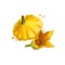 Pattypan summer squash, Cucurbita pepo and yellow flower isolated on white. Organic healthy food. Yellow vegetable. Hand