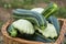 pattypan, white squash, Cucurbita pepo and zucchini in a basket