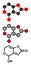 Patulin mycotoxin molecule