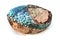 Paua shell