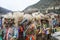 PAUCARTAMBO PERU,sagras - demonsb with mask in the city cemetery visiting their dead friends