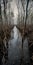 Paul Zizka\\\'s Photography: Capturing The World\\\'s Edge In Mangrove Forest