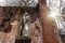 Pauline monastery ruin windows on the hungarian hiking trail near Badacsony in Salfold