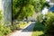 Paved alley with bushes, trees, lanterns