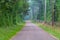 Paved country road through the forest