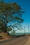 Paved country road beside leafy tree in sunny day