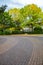 Paved driveway under the trees on autumn season in Canada