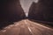 Paved empty road going through a densely forested area on a rainy day